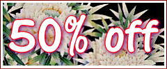 kimonos 50% OFF Discount SALE