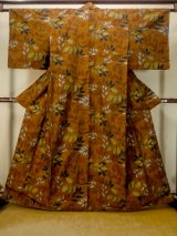 We added new Kimonos!