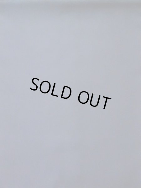 Photo25: CL0622I TSUMUGI pongee (Grade A) and NAGOYA OBI sash (Grade A+) (25)