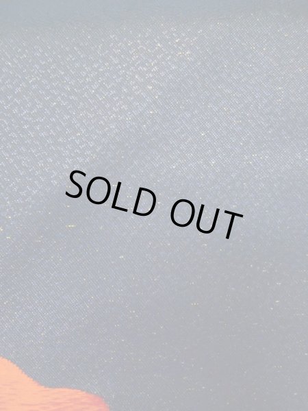 Photo28: CL0622I TSUMUGI pongee (Grade A) and NAGOYA OBI sash (Grade A+) (28)