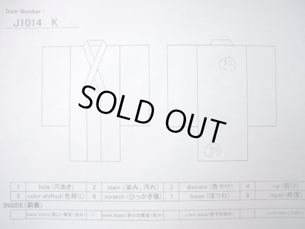 Photo24: CL1014E KOMON dyed (Grade A) and NAGOYA OBI sash (Grade A) (24)