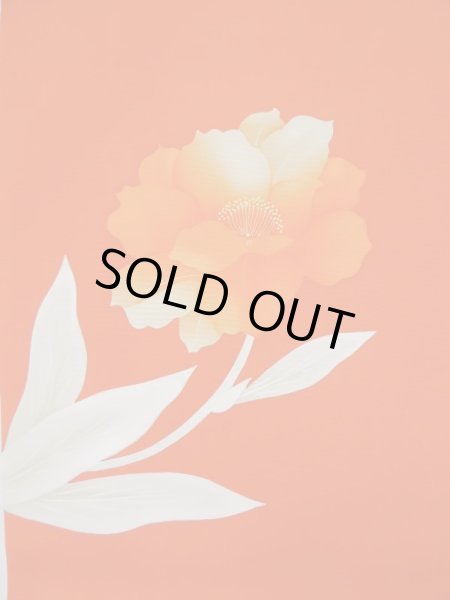 Photo25: CL1014F KOMON dyed (Grade A) and NAGOYA OBI sash (Grade A+) (25)