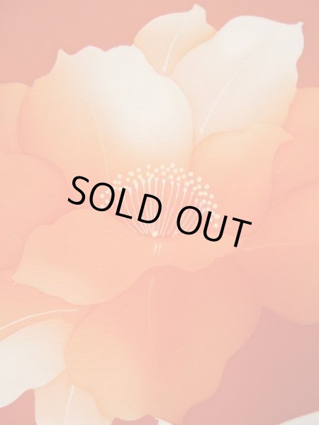 Photo27: CL1014F KOMON dyed (Grade A) and NAGOYA OBI sash (Grade A+) (27)