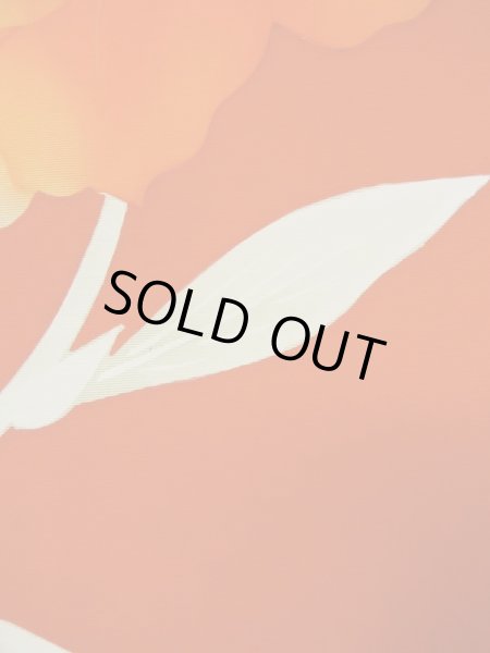 Photo28: CL1014F KOMON dyed (Grade A) and NAGOYA OBI sash (Grade A+) (28)