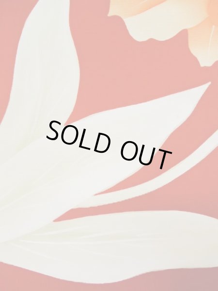 Photo29: CL1014F KOMON dyed (Grade A) and NAGOYA OBI sash (Grade A+) (29)