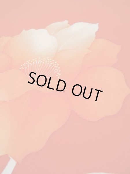 Photo30: CL1014F KOMON dyed (Grade A) and NAGOYA OBI sash (Grade A+) (30)