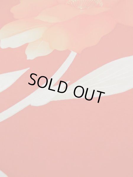 Photo31: CL1014F KOMON dyed (Grade A) and NAGOYA OBI sash (Grade A+) (31)