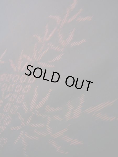 Photo22: CL1014G OSHIMA TSUMGI pongee (Grade B) and FUKURO OBI sash (Grade A) (22)