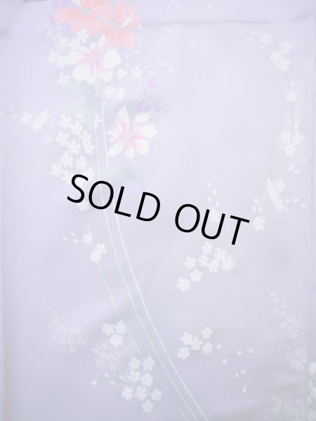 Photo13: CL1014H KOMON dyed (Grade A) and NAGOYA OBI sash (Grade B) (13)