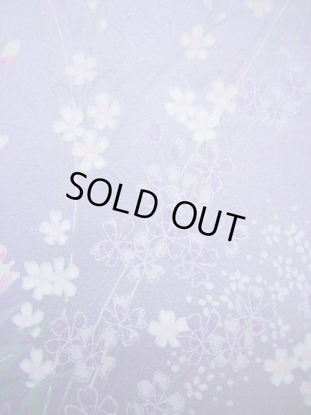 Photo17: CL1014H KOMON dyed (Grade A) and NAGOYA OBI sash (Grade B) (17)