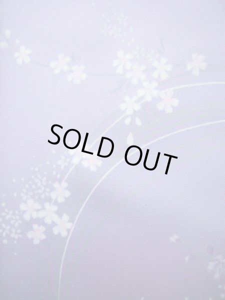 Photo18: CL1014H KOMON dyed (Grade A) and NAGOYA OBI sash (Grade B) (18)