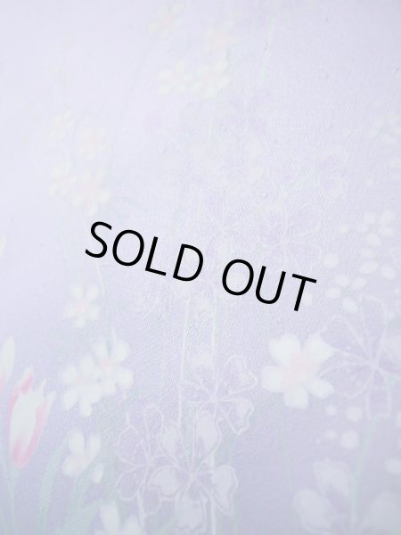 Photo20: CL1014H KOMON dyed (Grade A) and NAGOYA OBI sash (Grade B) (20)