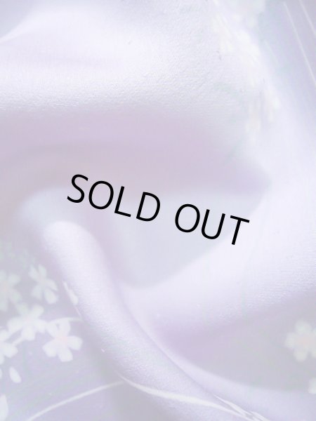 Photo23: CL1014H KOMON dyed (Grade A) and NAGOYA OBI sash (Grade B) (23)