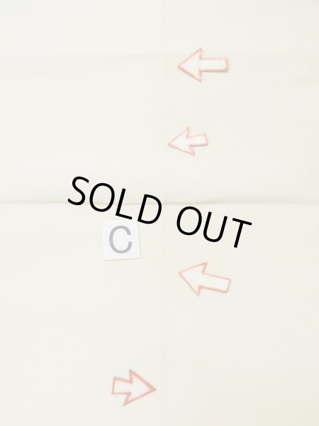 Photo34: CL1014M OSHIMA TSUMGI pongee (Grade B) and NAGOYA OBI sash (Grade C) (34)