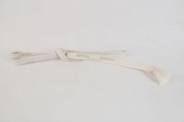 Photo38: CN0201B KOMON dyed (Grade A) and NAGOYA OBI sash (Grade C) (38)