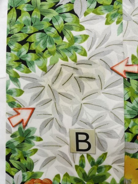 Photo21: CN0726F KOMON dyed (Grade C) and NAGOYA OBI sash (Grade A) (21)