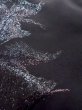 Photo19: CO0221B ORI woven (Grade B) and FUKURO NAGOYA Obi (Grade A) (19)