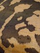 Photo34: CO0221B ORI woven (Grade B) and FUKURO NAGOYA Obi (Grade A) (34)