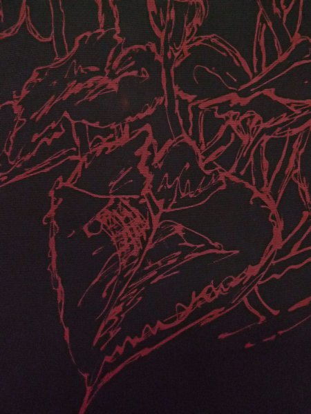 Photo26: CO0221J ORI woven (Grade A) and NAGOYA OBI sash (Grade B) (26)