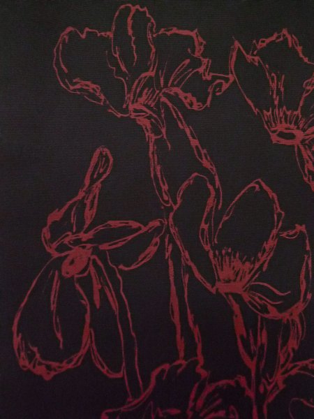 Photo28: CO0221J ORI woven (Grade A) and NAGOYA OBI sash (Grade B) (28)