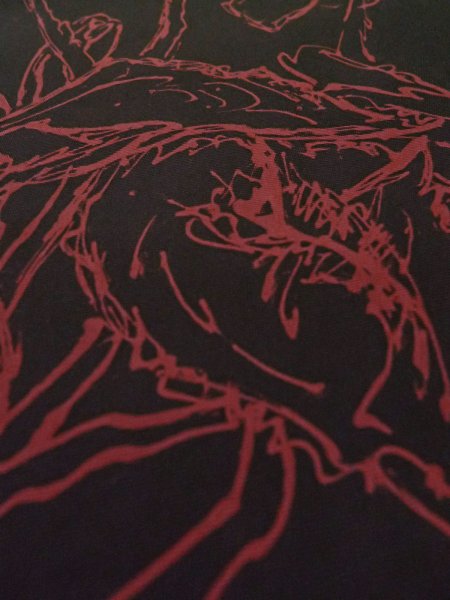 Photo29: CO0221J ORI woven (Grade A) and NAGOYA OBI sash (Grade B) (29)