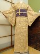 Photo1: CO0319A KOMON dyed (Grade B) and FUKURO NAGOYA Obi (Grade B) (1)