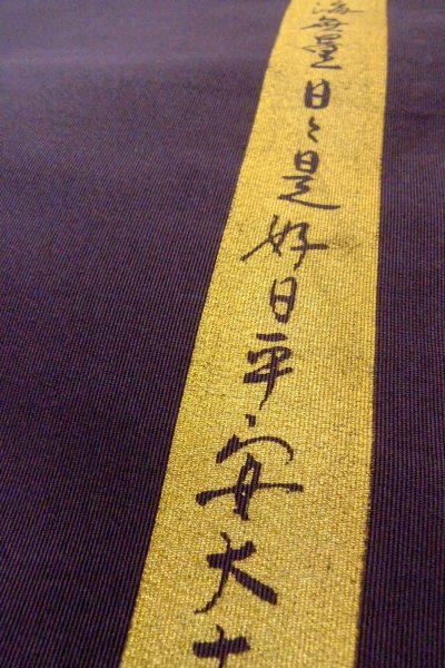 Photo29: CO0319A KOMON dyed (Grade B) and FUKURO NAGOYA Obi (Grade B) (29)