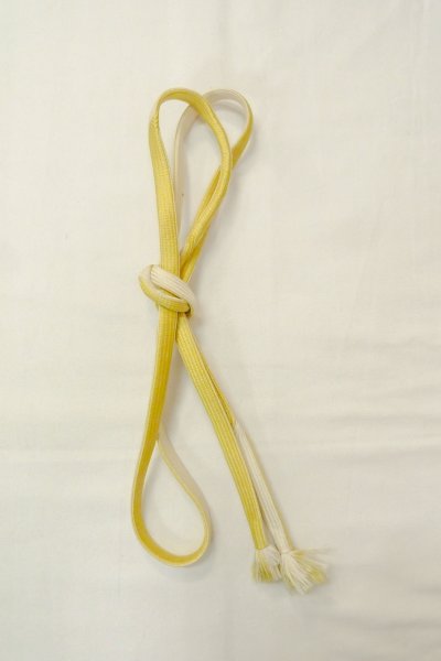 Photo11: CO0319C KOMON dyed (Grade B) and NAGOYA OBI sash (Grade B) (11)