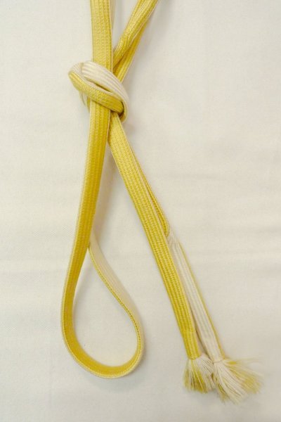 Photo35: CO0319C KOMON dyed (Grade B) and NAGOYA OBI sash (Grade B) (35)