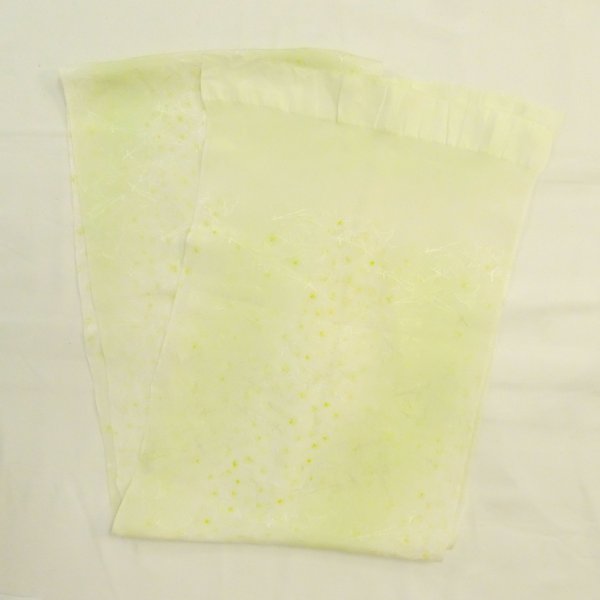 Photo10: CO0319D KOMON dyed (Grade A) and FUKURO NAGOYA Obi (Grade A) (10)