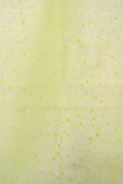 Photo31: CO0319D KOMON dyed (Grade A) and FUKURO NAGOYA Obi (Grade A) (31)