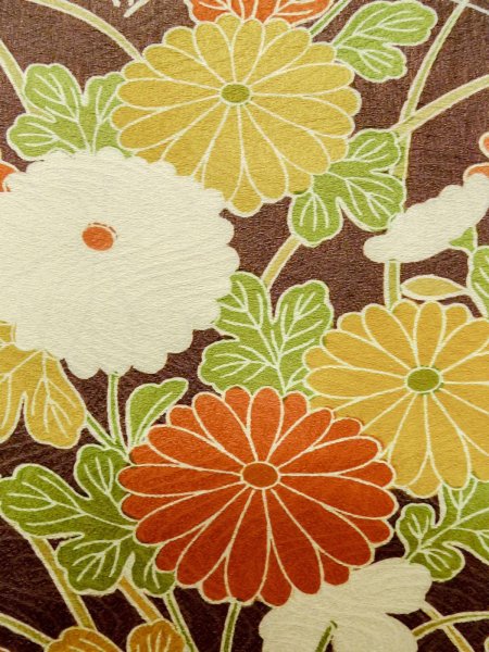 Photo15: CO0319F KOMON dyed (Grade B) and NAGOYA OBI sash (Grade C) (15)