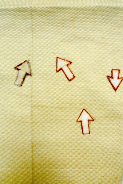 Photo35: CO0319F KOMON dyed (Grade B) and NAGOYA OBI sash (Grade C) (35)