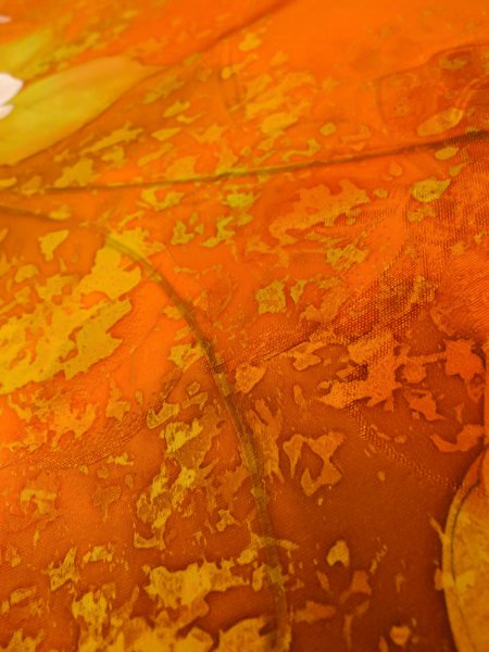 Photo18: CO0319J KOMON dyed (Grade A) and NAGOYA OBI sash (Grade B) (18)