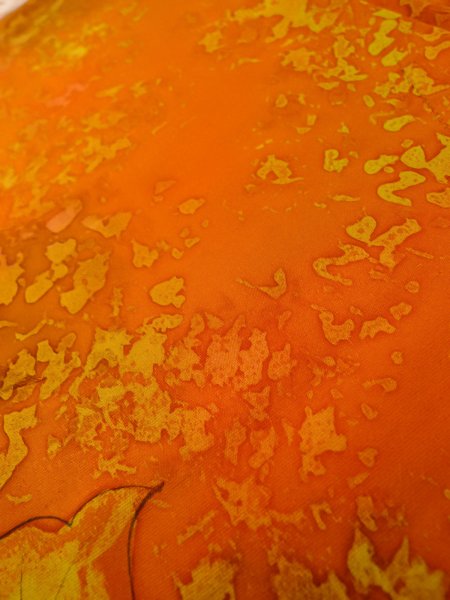 Photo20: CO0319J KOMON dyed (Grade A) and NAGOYA OBI sash (Grade B) (20)