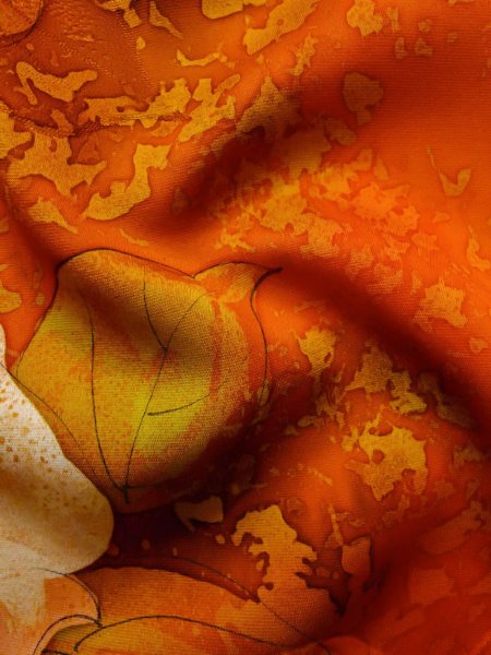 Photo21: CO0319J KOMON dyed (Grade A) and NAGOYA OBI sash (Grade B) (21)