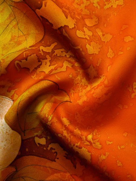 Photo22: CO0319J KOMON dyed (Grade A) and NAGOYA OBI sash (Grade B) (22)