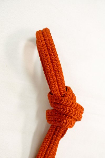 Photo35: CO0319J KOMON dyed (Grade A) and NAGOYA OBI sash (Grade B) (35)