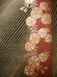 Photo24: CL0601H KOMON dyed (Grade A) and FUKURO OBI sash (Grade B) (24)