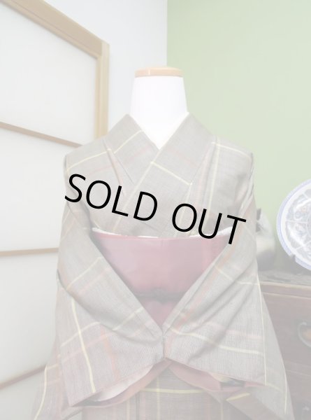 Photo5: CL0601I OSHIMA TSUMGI pongee (Grade A) and NAGOYA OBI sash (Grade B) (5)