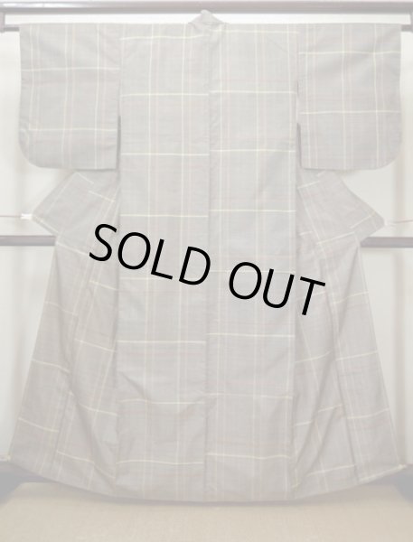 Photo7: CL0601I OSHIMA TSUMGI pongee (Grade A) and NAGOYA OBI sash (Grade B) (7)