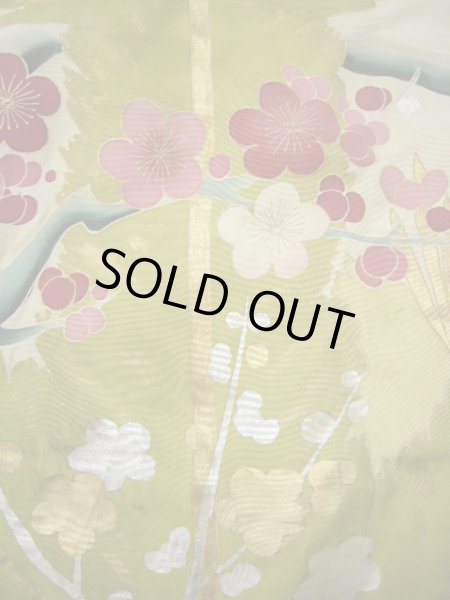 Photo17: G0826B Used Japanese Kimono  Smoky Off White UCHIKAKE Wedding by Silk. UME plum bloom  (Grade C) (17)