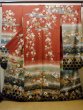 Photo1: Mint I0207A Used Japanese Kimono  Reddish Brown FURISODE long-sleeved / Silk. SAKURA cherry blossom   (Grade A) (1)