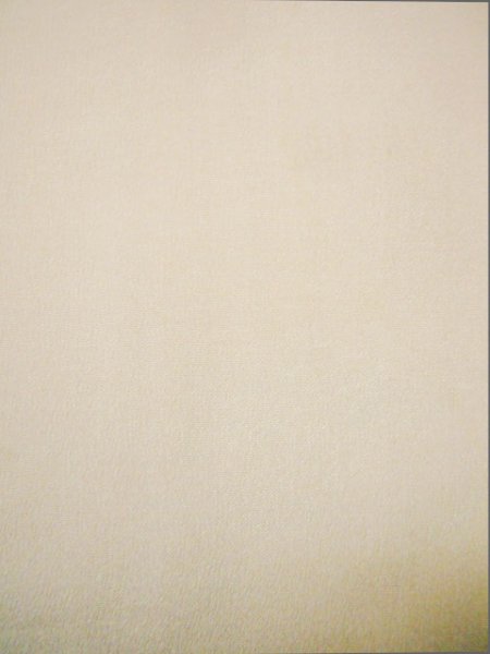 Photo3: I0207L Used Japanese Kimono  Smoky Off White JUBAN undergarment / Silk.   (Grade C) (3)
