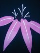 Photo6: J0520Y Used Japanese Dark  Pink YUKATA summer / Cotton. Bamboo leaf 2 (Grade B) (6)