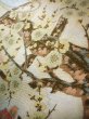 Photo11: Mint J0918M Vintage Japanese Kimono Smoky  Pale Blue FUKURO OBI sash UME plum bloom Silk.  (Grade A) (11)