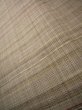 Photo10: J1001V Used Japanese Pale  Beige TSUMUGI pongee / Silk. Line   (Grade A) (10)