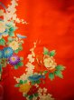 Photo6: J1104S Used Japanese Light  Orange Kids / Silk. Peony,   (Grade B) (6)