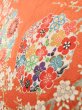 Photo12: J1223C Used Japanese   Orange FURISODE long-sleeved / Silk. Peony,   (Grade B) (12)