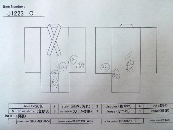 Photo19: J1223C Used Japanese   Orange FURISODE long-sleeved / Silk. Peony,   (Grade B) (19)